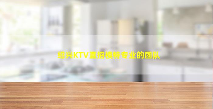 绍兴KTV直招模特专业的团队
